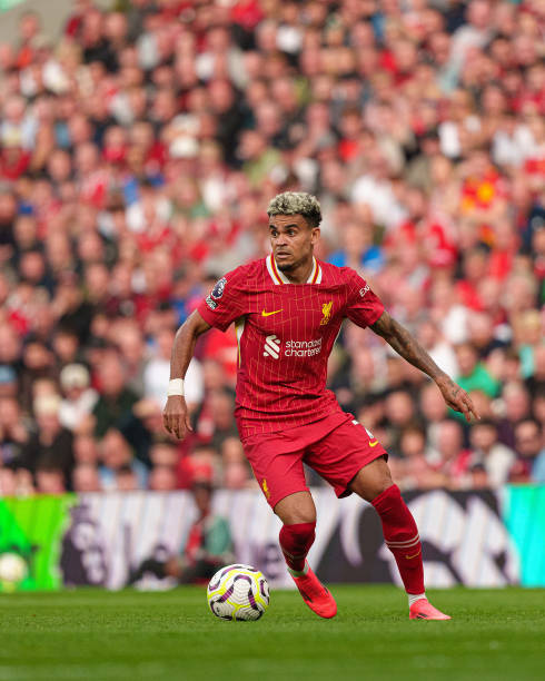 他已经证明 他已经证明